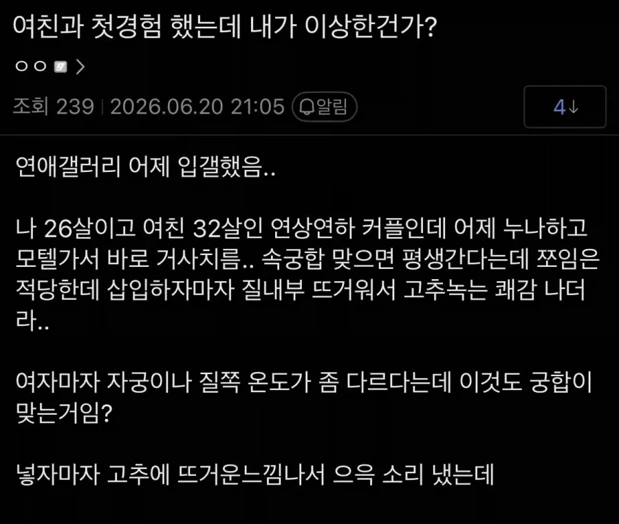 에반게리온 표절작 이미지 4