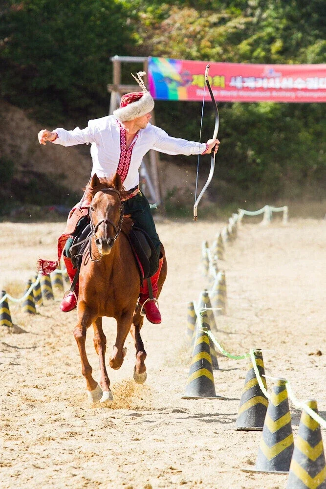한국의 양궁독주를 견제하기 위해 도입 건의가 필요한 신종목_3.webp