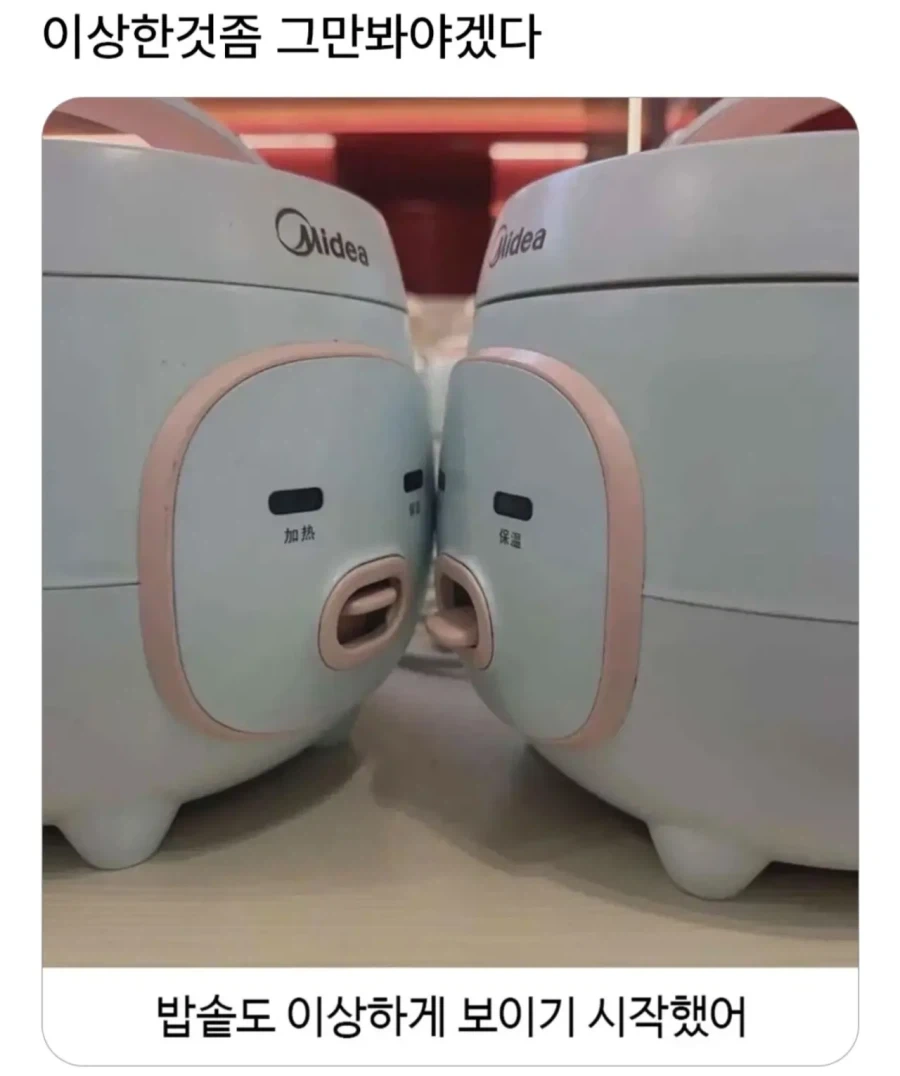 제자야 어찌하여 여기까지 왔느냐 대표 이미지