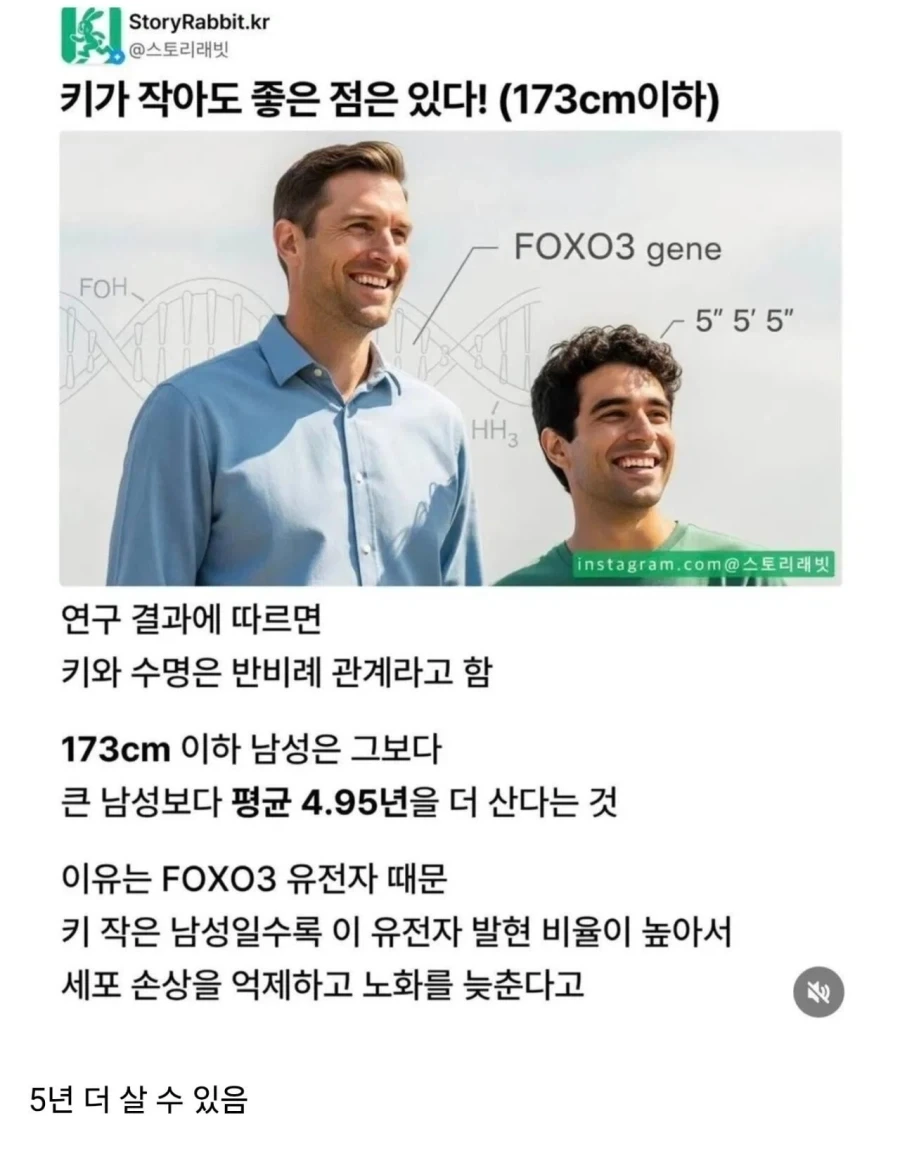 어떤 고오얀 놈들이 이미지를... 이미지 3