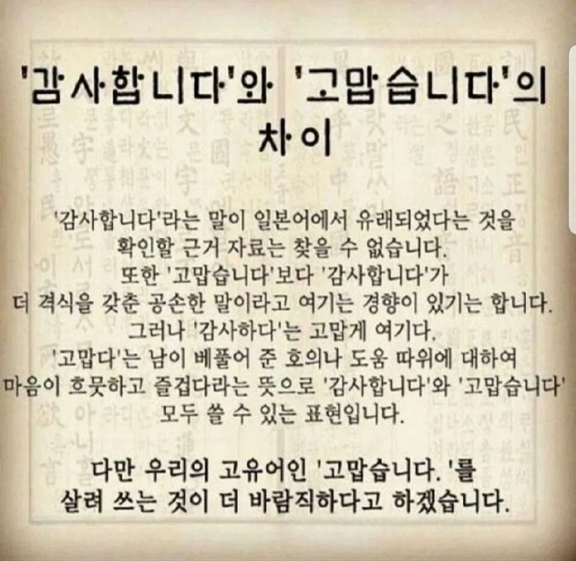 배달음식점 볶음밥 빌런 3대장 대표 이미지