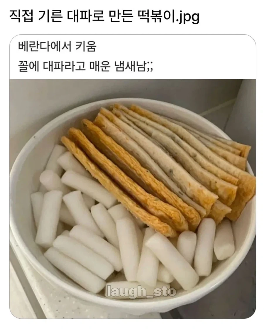 현직이 아니면 절대 모르는 공무원 조직이 돌아가는 법.jpg 대표 이미지