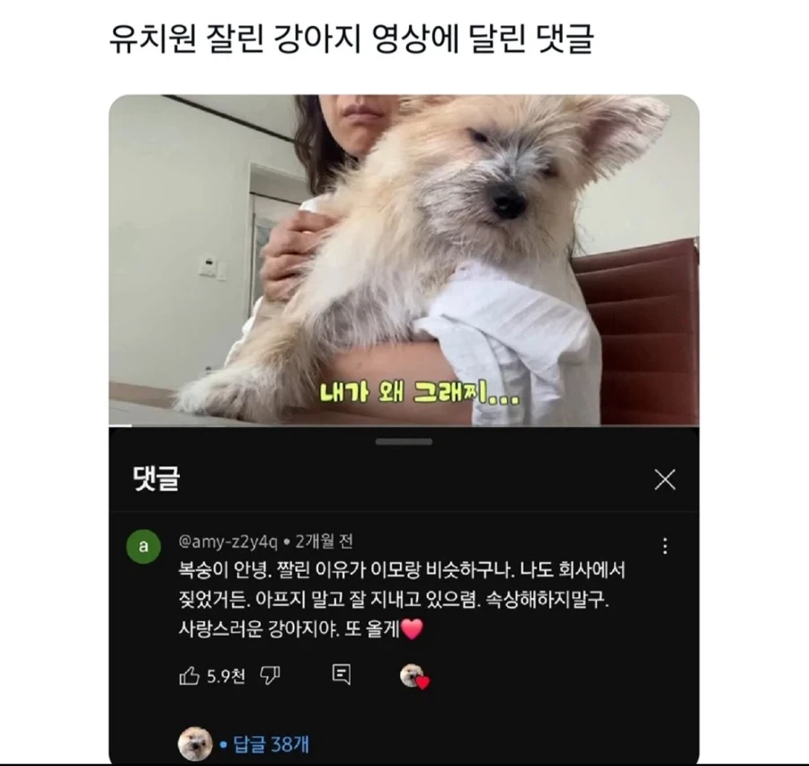 시장에 나온 사고 부동산 매물 이미지 5