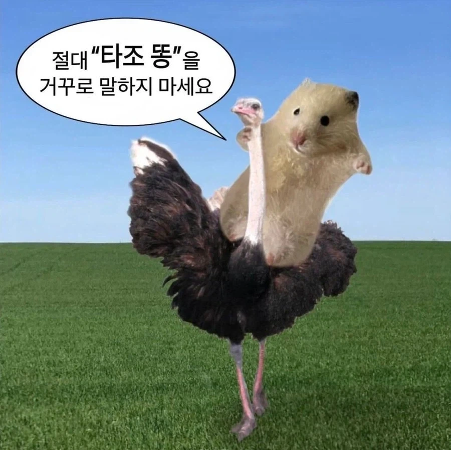 "한국인들만 읽을 수 있다는 영어" 이미지 2