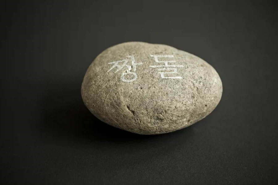 산리오 캐릭터 포차코 현실판 같다는 강아지.jpg 대표 이미지
