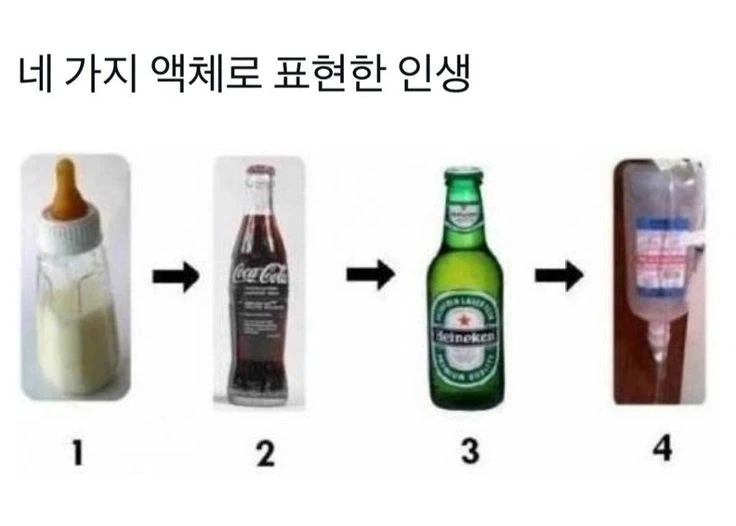 유치원 잘린 강아지 영상에 달린 댓글. 대표 이미지