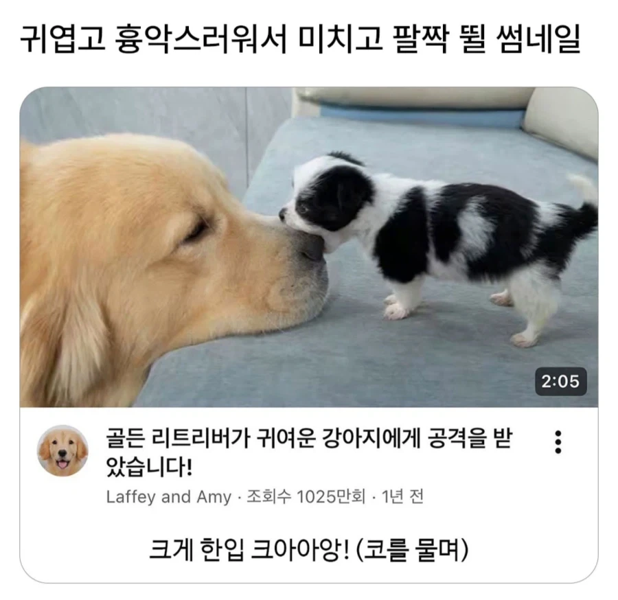 링크가 태어난 이유 대표 이미지