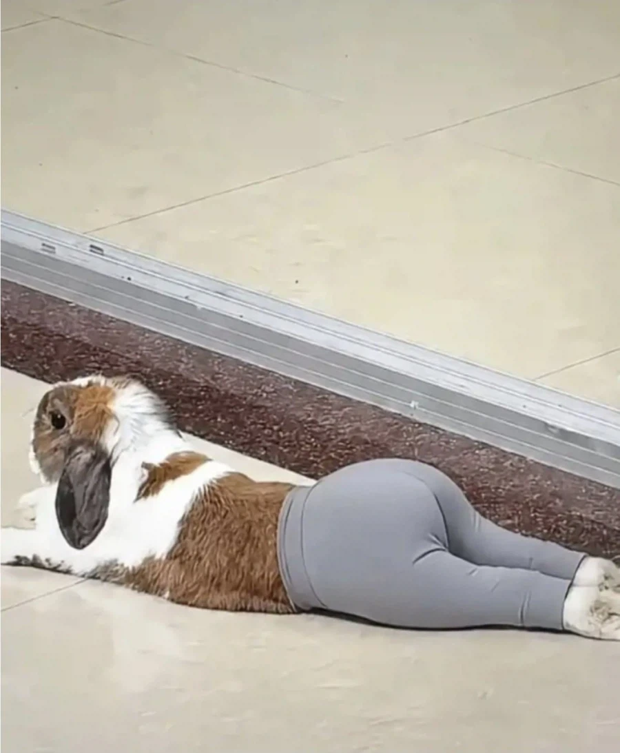 레깅스가 진짜 사기템 맞네, 몸매 죽이네_2.webp