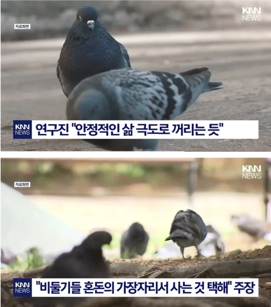 국민 세금으로 구매한 캠핑카... 대표 이미지