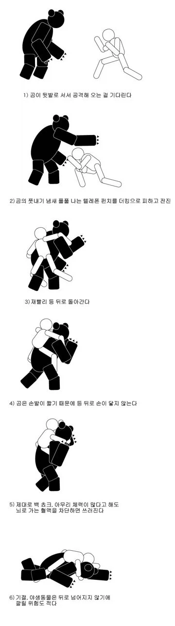 남성의 12%는 곰이 자신에게 달려들어도 제압할 수 있다고 믿는다_5.webp