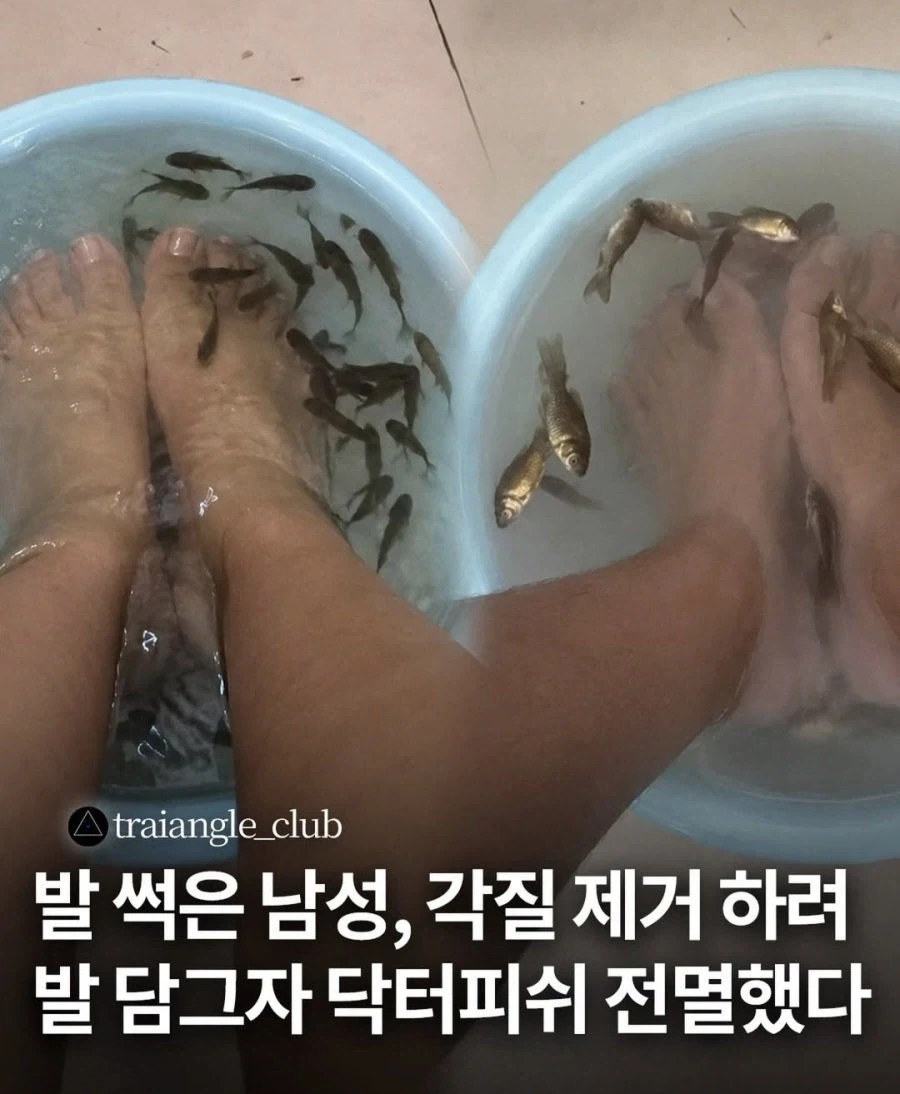 아 진짜 컴사고 싶다 대표 이미지
