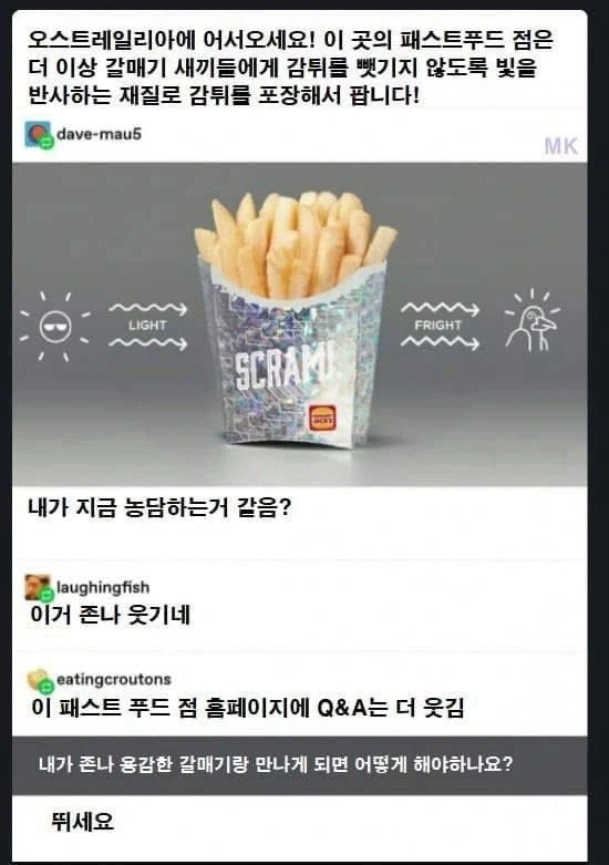 한반도의 미래 밝아짐.jpg 대표 이미지