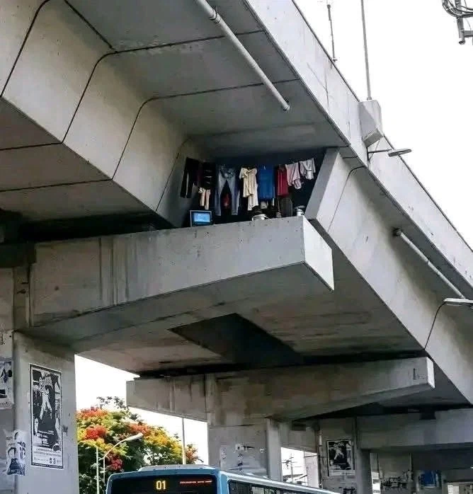 자기가 신라면인줄 알고 살았던 나가사끼삼선짬뽕 이미지 4