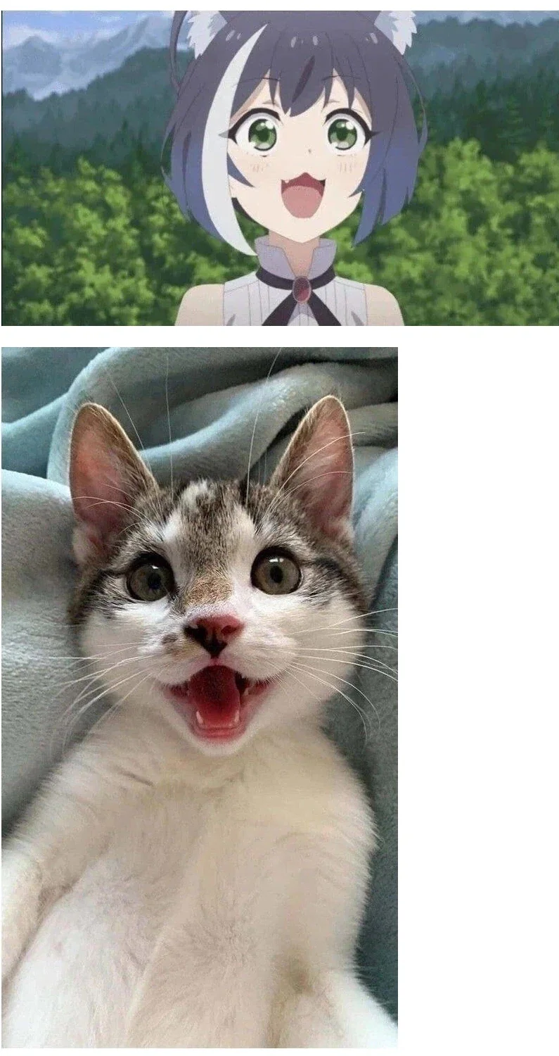 거제 포로수용소 포로들의 신분별 수감구역.jpg 대표 이미지