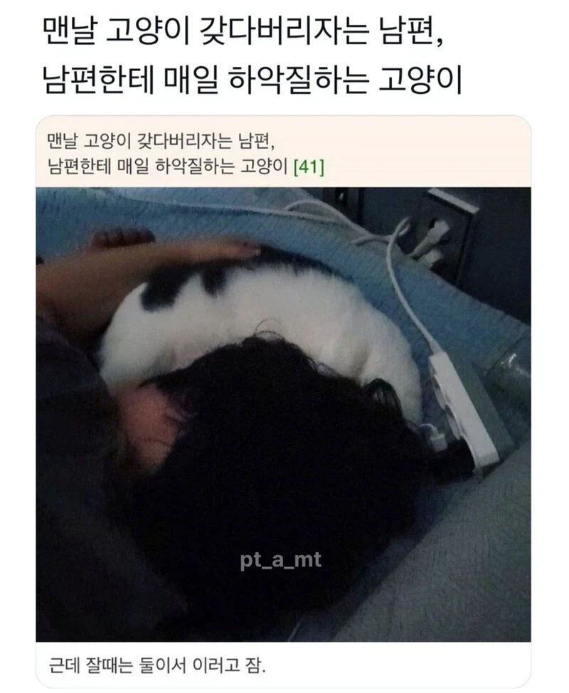 중국산 메모리가 싸고 하닉 삼성이랑 똑같은 성능이다라고 주장한 제품 리뷰 유튜버 이미지 3