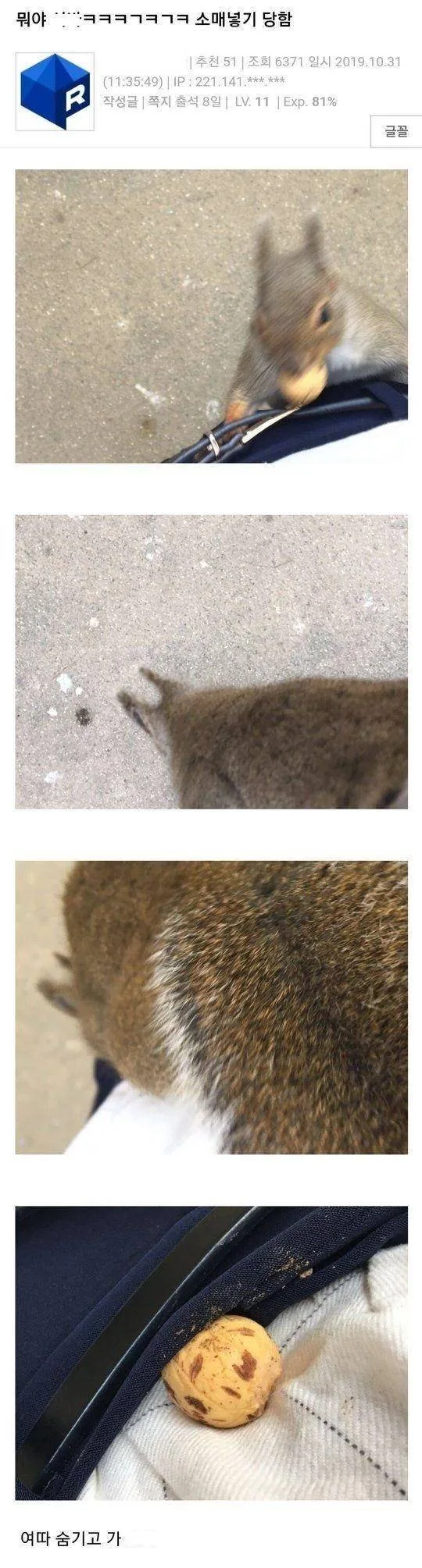 담배 고양이 초반 리뷰 대표 이미지