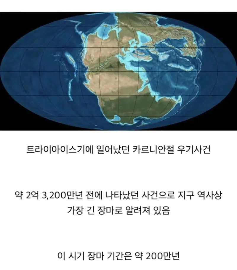 팬이 만든 포켓몬들 대표 이미지