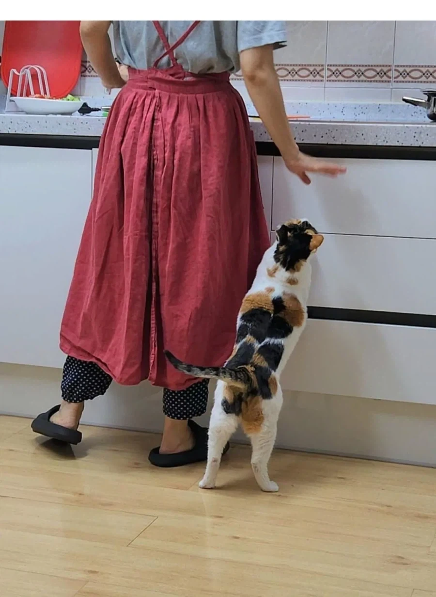 고양이 키우는 집에서 참치 김치찌개 만들면 생기는일_2.webp