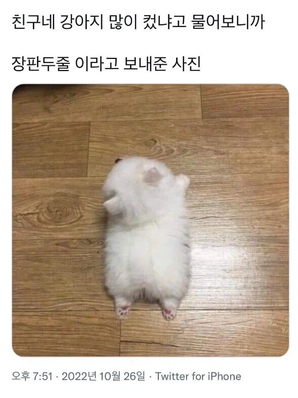 가출 미성년자...＇떡장사＇.. 충격. 이미지 3