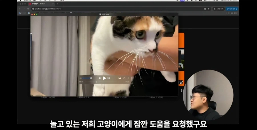 유튜브에서 고양이 얼굴이 썸네일이면 조회수가 더 나올까 실험한 영상_7.webp