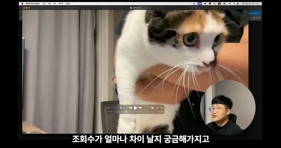 유튜브에서 고양이 얼굴이 썸네일이면 조회수가 더 나올까 실험한 영상_12.webp