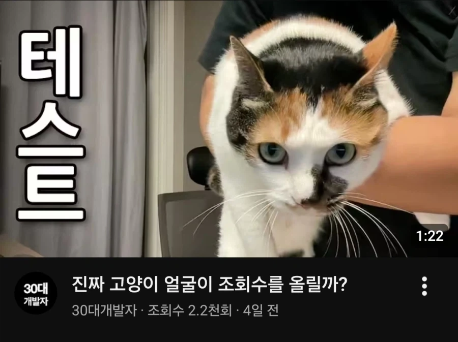 유튜브에서 고양이 얼굴이 썸네일이면 조회수가 더 나올까 실험한 영상_20.webp