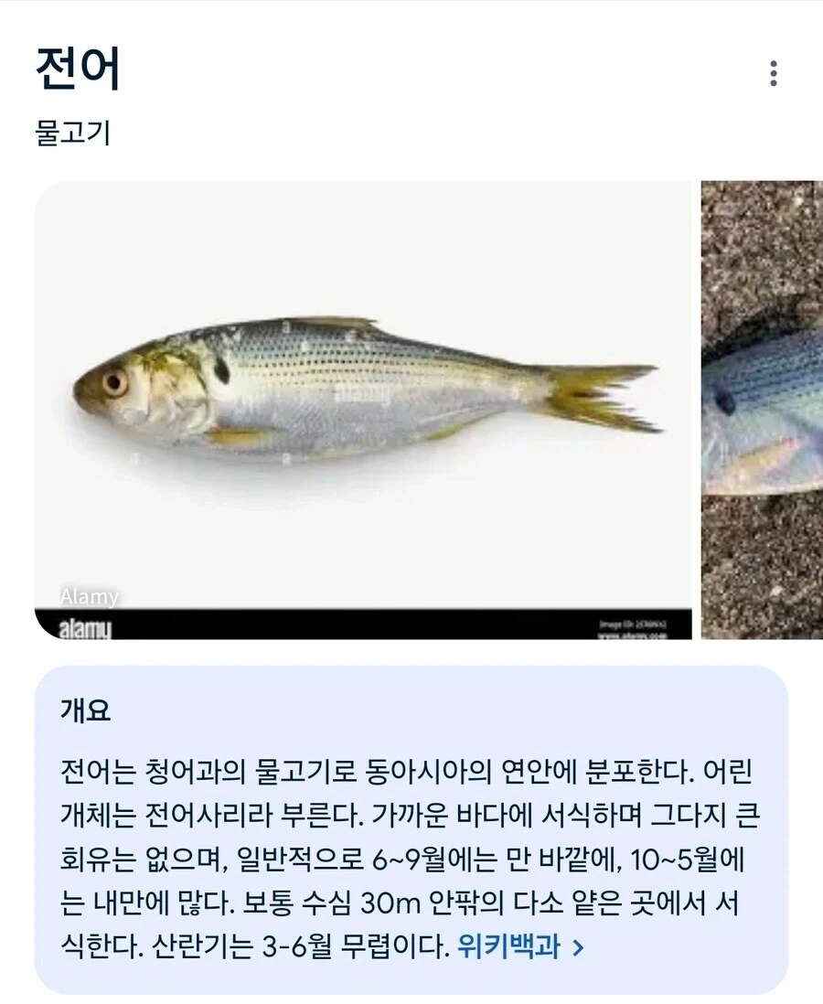 데드 스페이스2 호러와 개그는 한끗차이.jpg 이미지 2