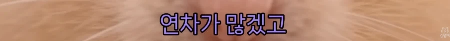 직장인들이 2번보기가 너무 힘들었다는 김햄찌 에피소드_8.webp