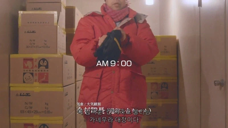 신데렐라 - 죠죠의 기묘한 모험 Ver. 대표 이미지