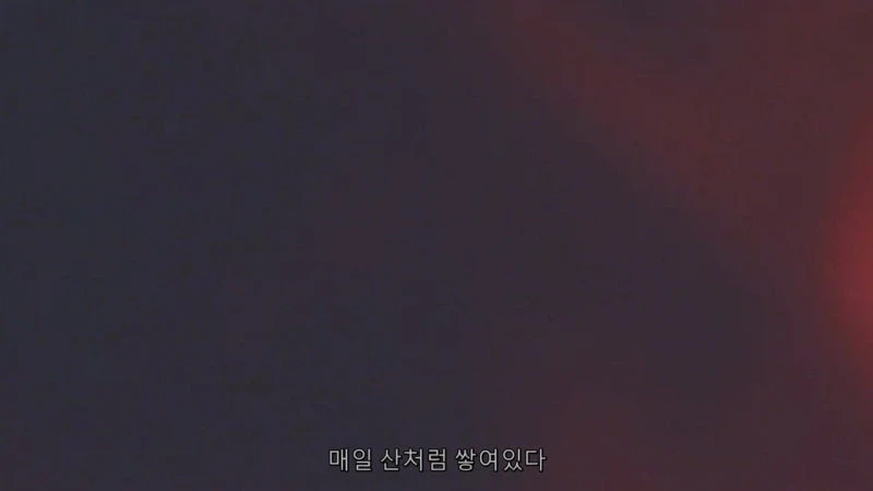 남극에 파견되는 사람들은 모두 엘리트다_8.webp
