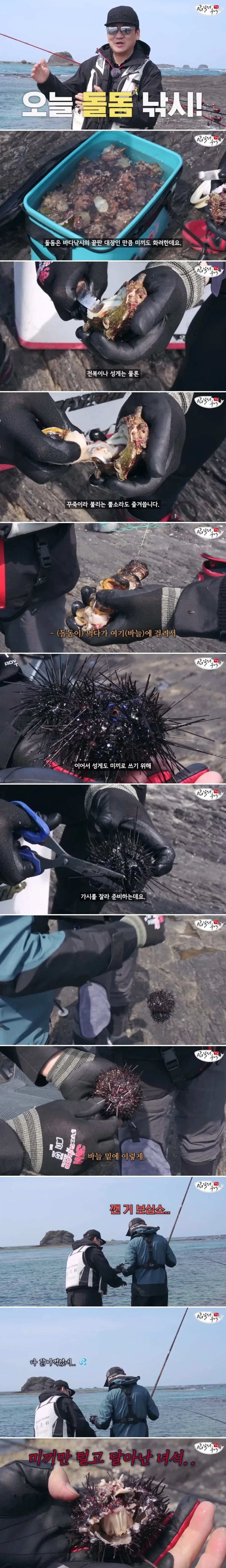 우회전 좌깜박이의 최후 대표 이미지