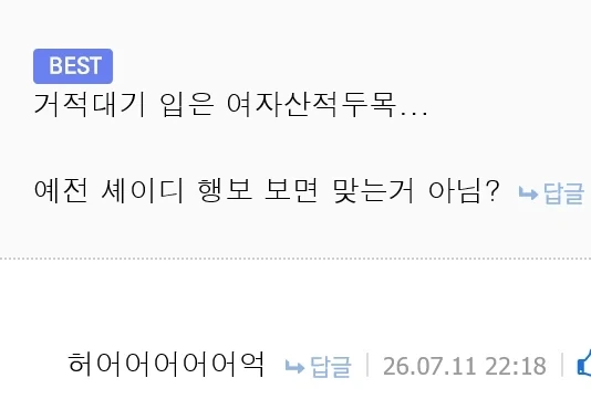 트릭컬) 셰이디 산적두목설.jpg_2.webp