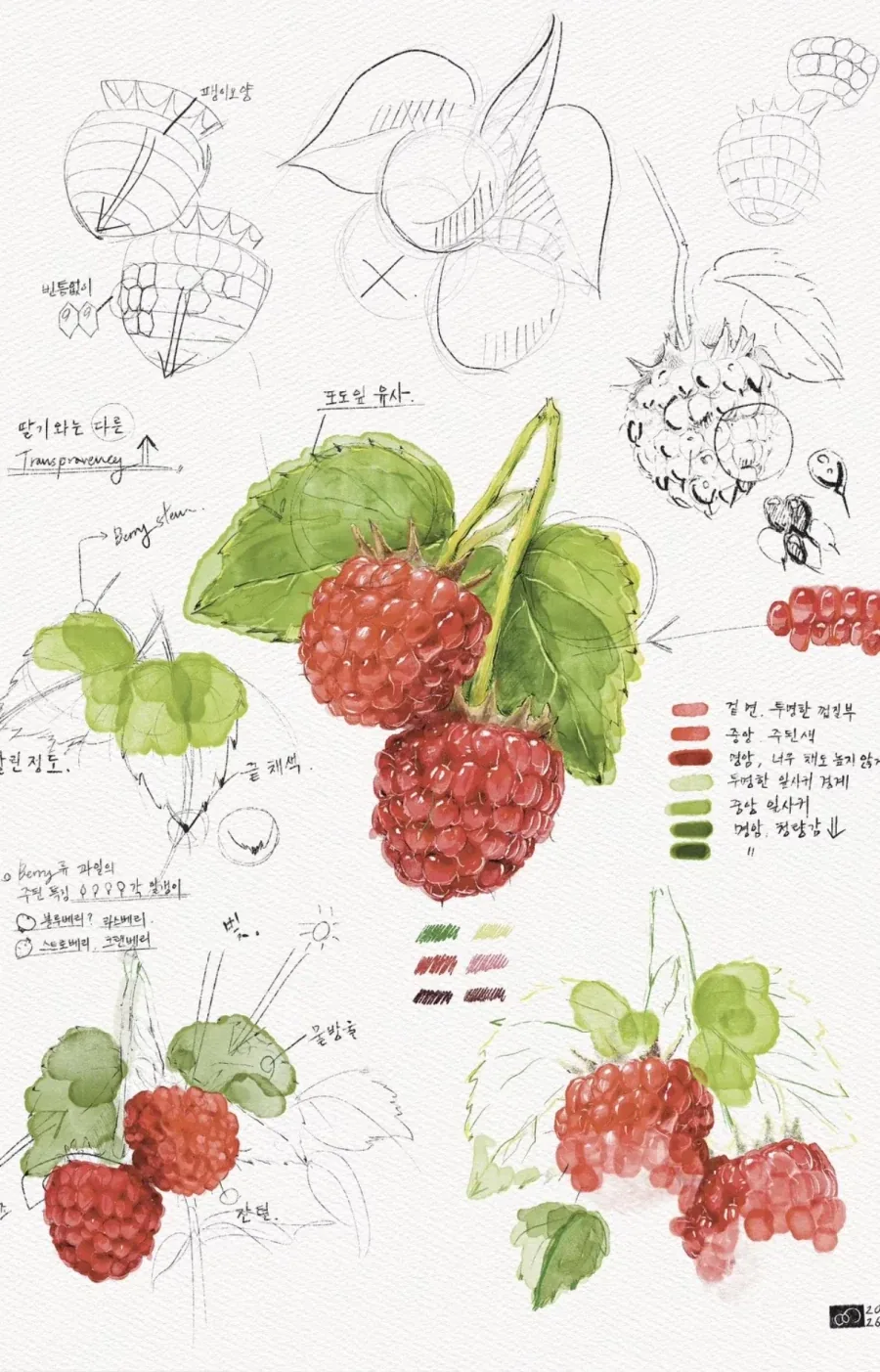 아빠도 아직 꿈이 있단다 - 트럭에서 그리는 42세_6.webp