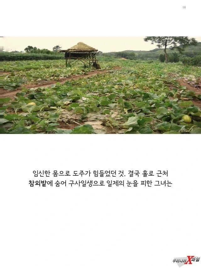 임신한 상태에도 애국을 한 독립운동가_18.webp