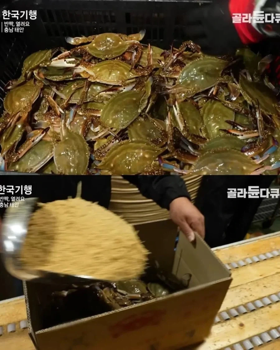 오바마가 미국에 한 가장 끔찍한 일 대표 이미지
