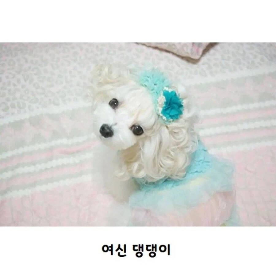 수수깡으로 파마한 멍뭉이.jpg_6.webp