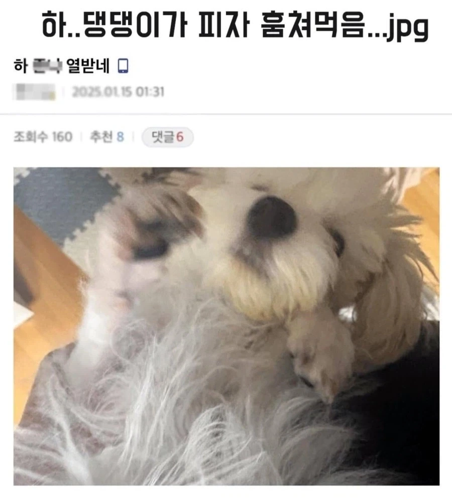이거 담배 애니 아니었나 이미지 3