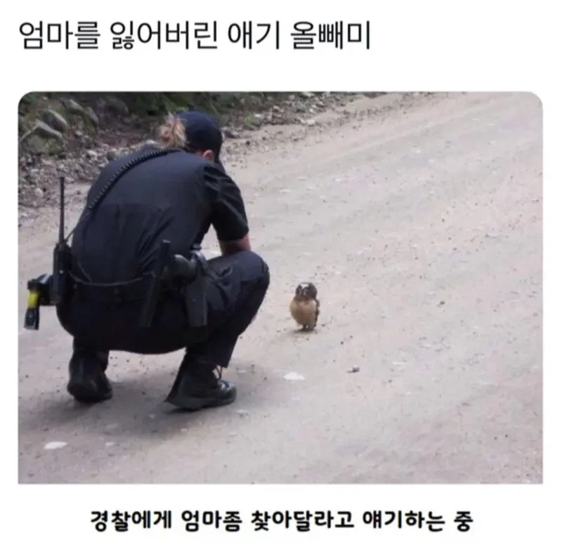 원영적 사고 레전드ㅋㅋㅋ 대표 이미지