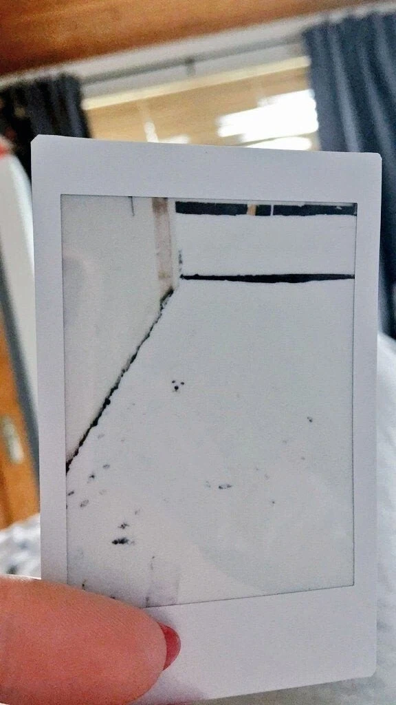로이야 진짜 뗀거니 대표 이미지