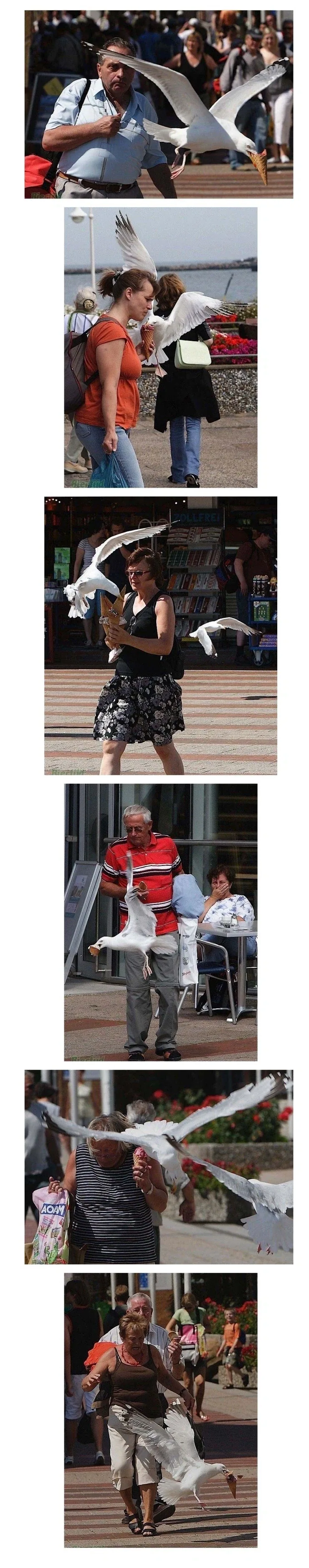 어릴적: 부모님 첫만남 로맨틱하네 → 나이 먹고: 와 ㅆ 아버지 개폐급.jpg 대표 이미지