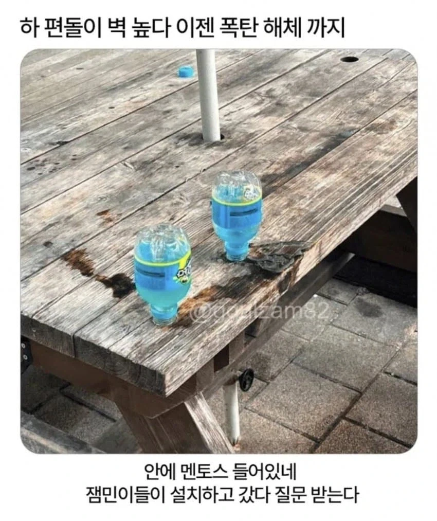 (영화) 호프 후기: 조온나 재미있음 대표 이미지
