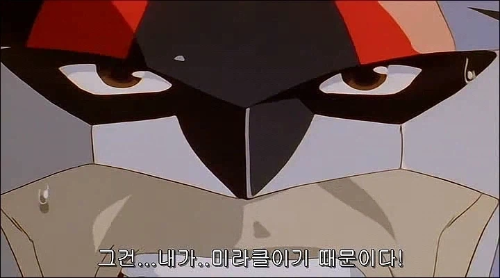 옛날 90년대 애니가 개 꼴릿한게 많았지_12.webp