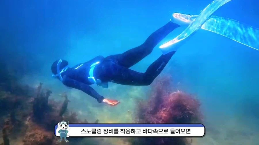 거제공식 유튭이 소개하는 거제 해수욕장..._8.webp