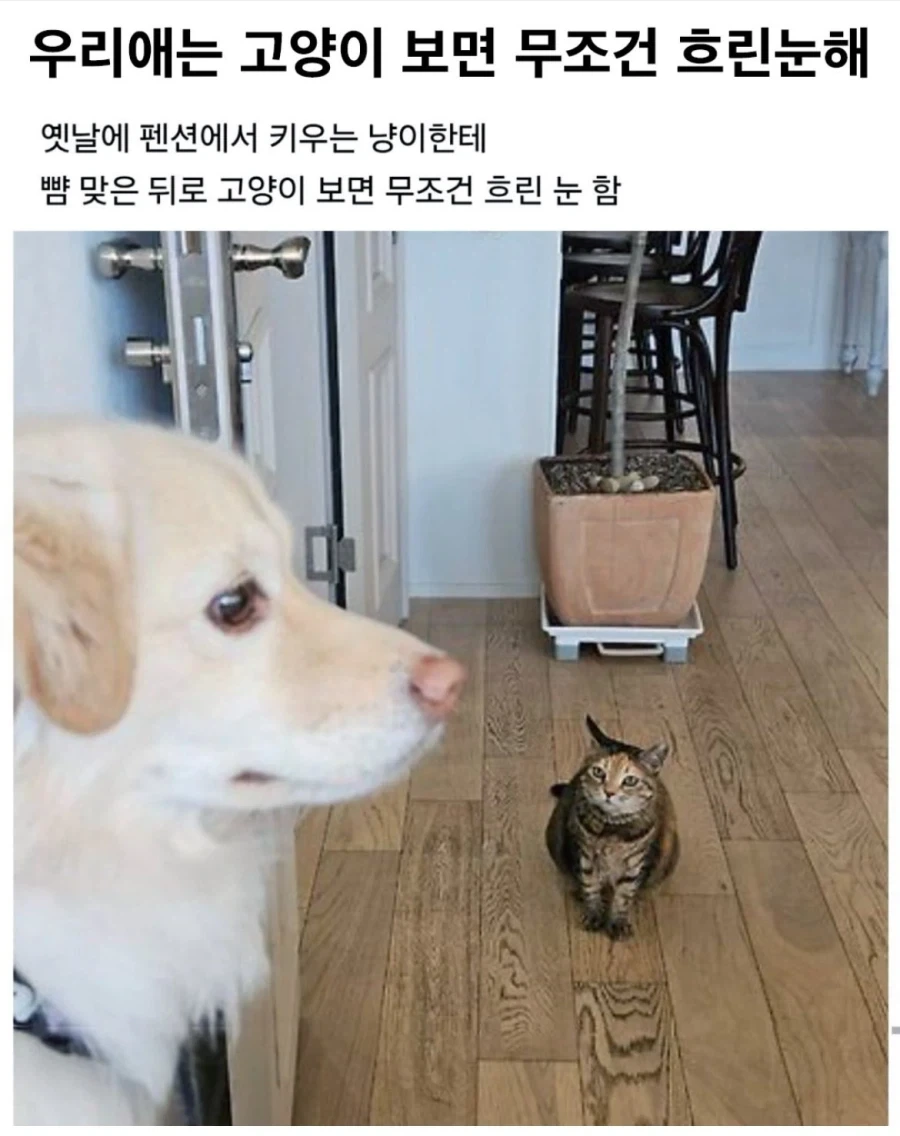 널 쓰러뜨리고 고향으로 돌아가 소꿉친구와 결혼하겠어! 대표 이미지