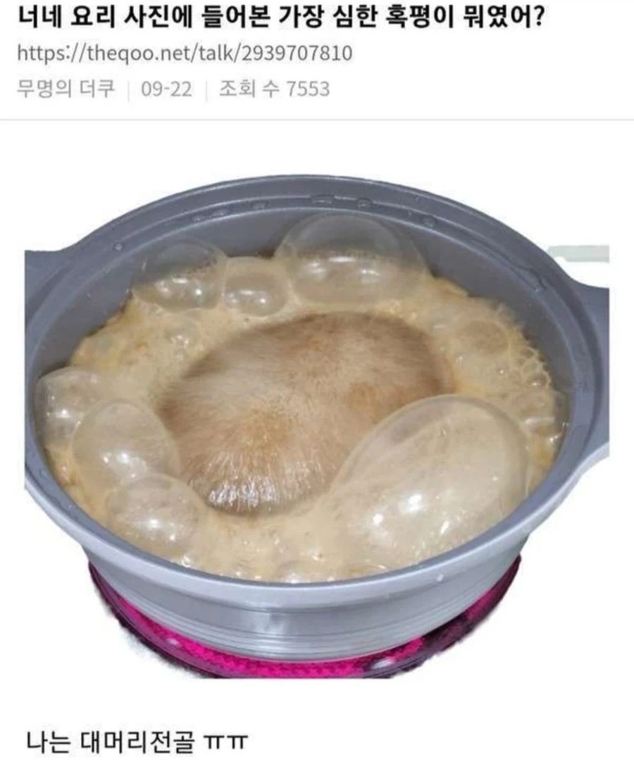 스타듀벨리 뉴비의 의문점 이미지 7