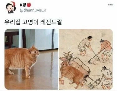 스타듀벨리 뉴비의 의문점 이미지 6