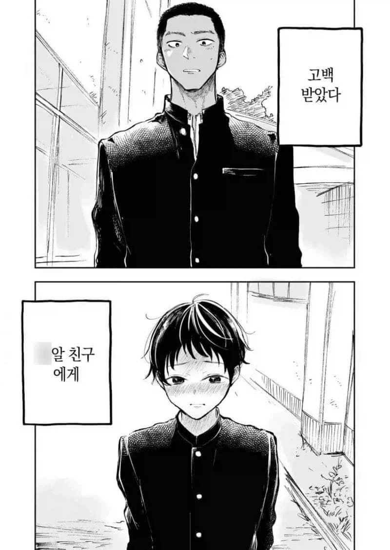 메탈카드봇)아니 ㅅㅂ... 대형 장난감 처음 사는데 대표 이미지