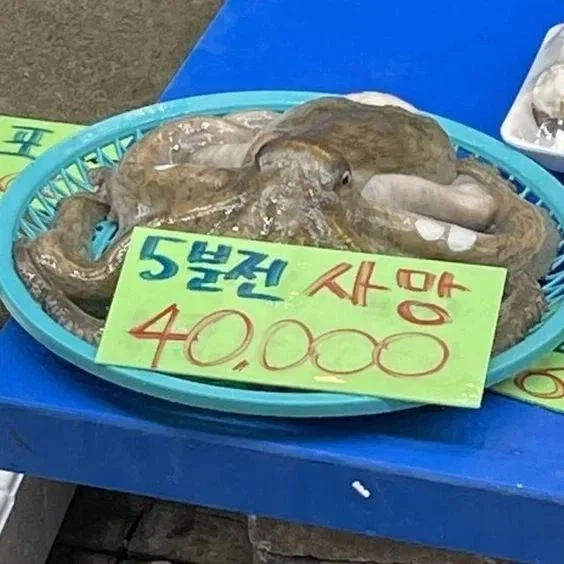 오빠가 여친과 헤어진 소식을 들은 여동생 반응.jpg 이미지 2