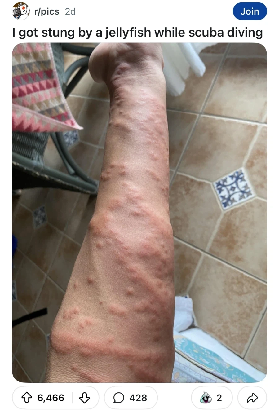 레벨이나 출석일수 그렇게 신경 쓰지 마셈 이미지 10