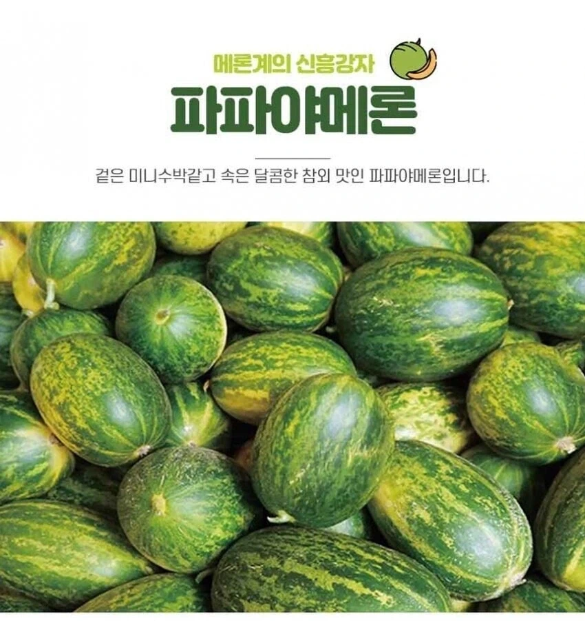 트릭컬)온리전 쵸와요제를 갔을때 받을수있는 혜택 이미지 10